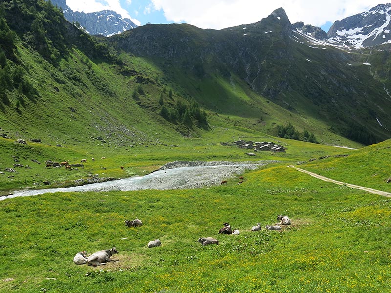 Strichwandkogel